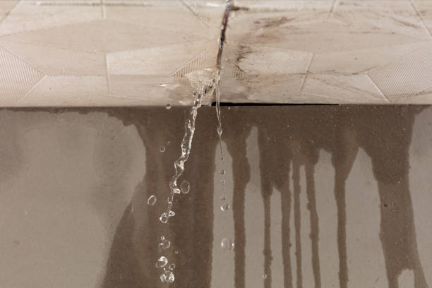 Professional Burst Pipe Cleanup technician working in Churdan, IA